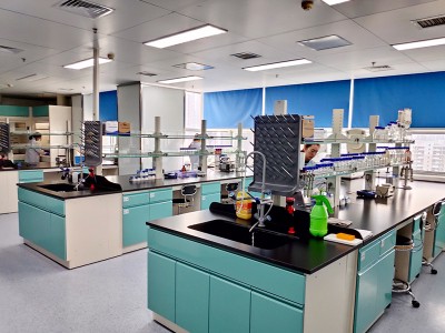 Domuzların gastrointestinal ödem hastalığı nasıl önlenir?